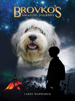 cover image of Brovko's Amazing Journey